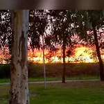 شقة Pineta Sul Mare - Riviera Dei Tramonti - A 300 M *