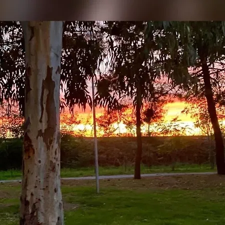 דירה Pineta Sul Mare - Riviera Dei Tramonti - A 300 M *