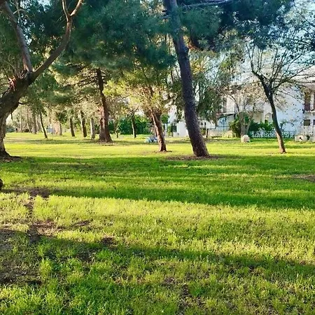 Pineta Sul Mare - Riviera Dei Tramonti - A 300 M Fronte Aguglieri