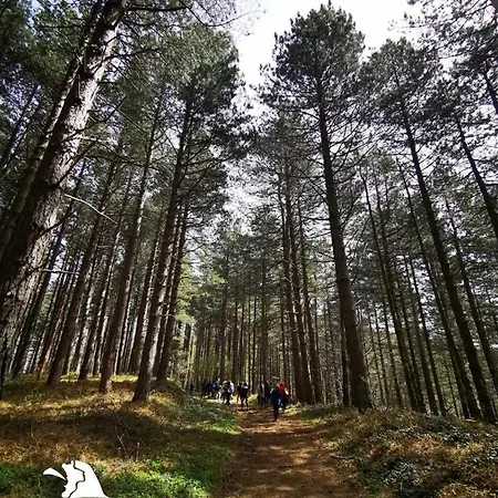 Apartment Pineta Sul Mare - Riviera Dei Tramonti - A 300 M