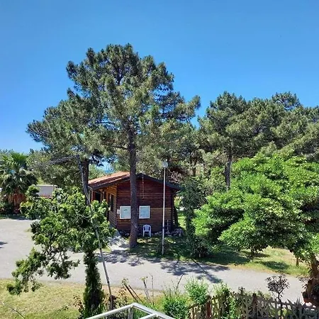 Pineta Sul Mare - Riviera Dei Tramonti - A 300 M Fronte Aguglieri