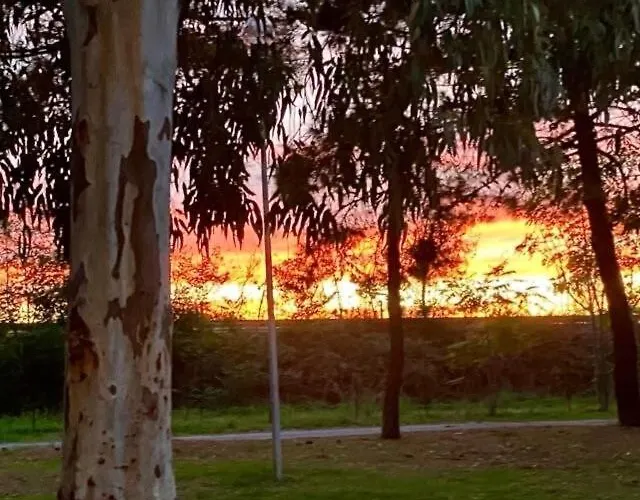 Apartment Pineta Sul Mare - Riviera Dei Tramonti - A 300 M *