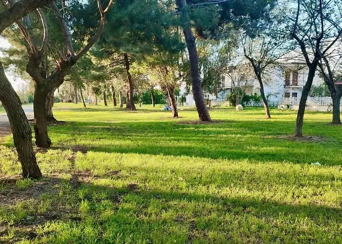 Pineta Sul Mare - Riviera Dei Tramonti - A 300 M Fronte Aguglieri
