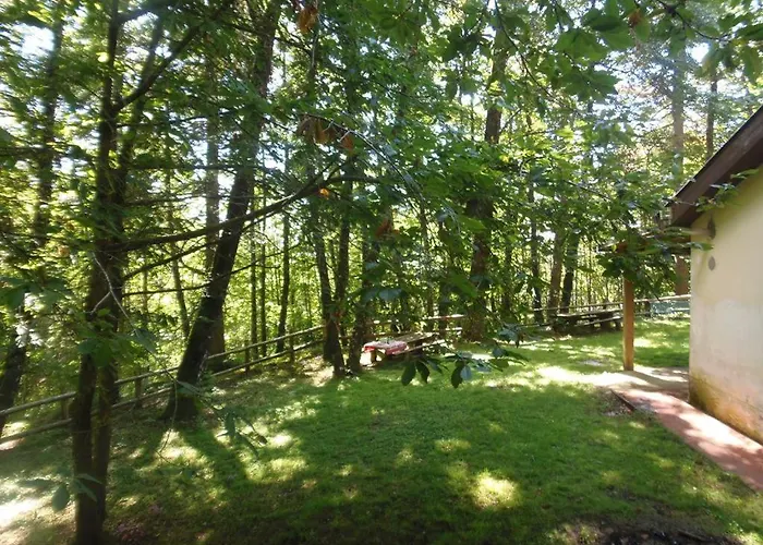 Apartment Pineta Sul Mare - Riviera Dei Tramonti - A 300 M Fronte Aguglieri