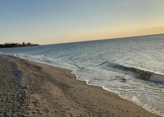 Pineta Sul Mare - Riviera Dei Tramonti - A 300 M 公寓 *