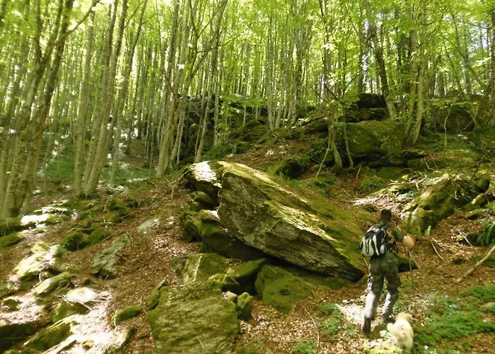 Pineta Sul Mare - Riviera Dei Tramonti - A 300 M Apartment *