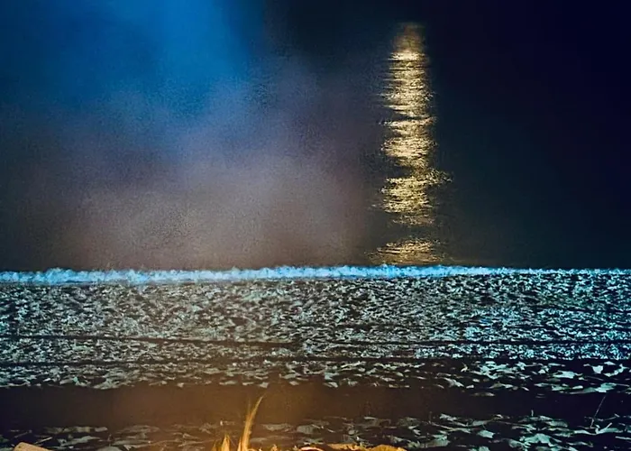 Pineta Sul Mare - Riviera Dei Tramonti - A 300 M 公寓 *