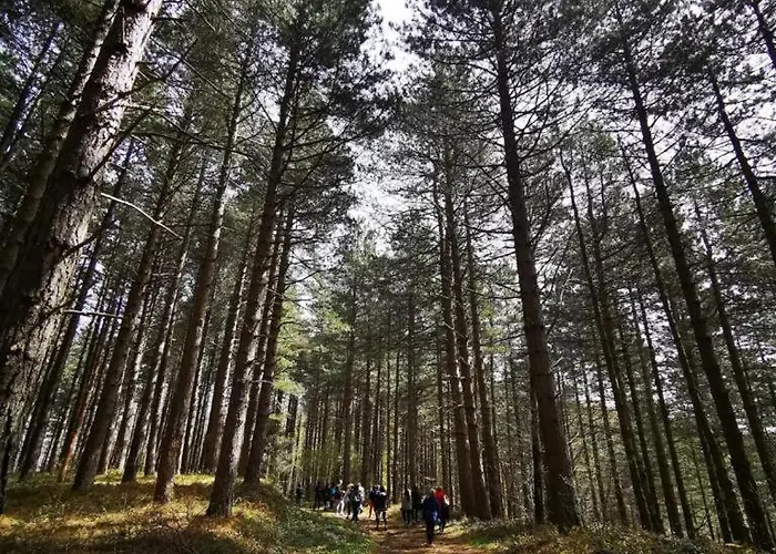 公寓 Pineta Sul Mare - Riviera Dei Tramonti - A 300 M