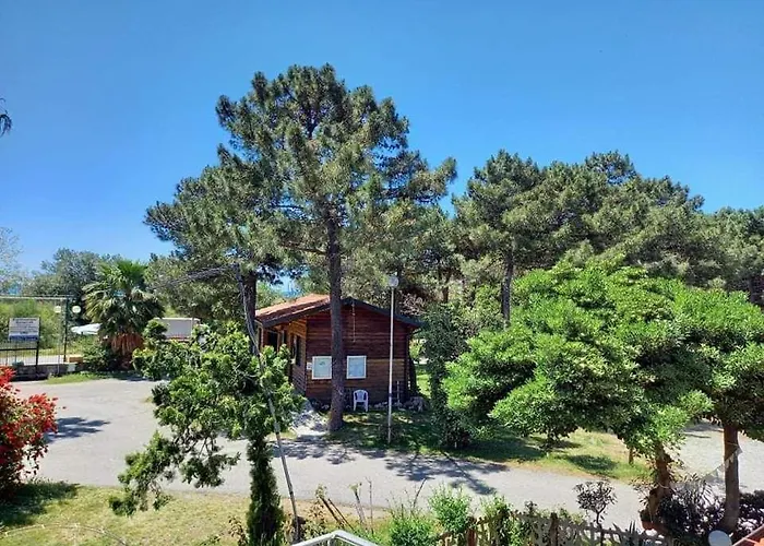 Pineta Sul Mare - Riviera Dei Tramonti - A 300 M Fronte Aguglieri