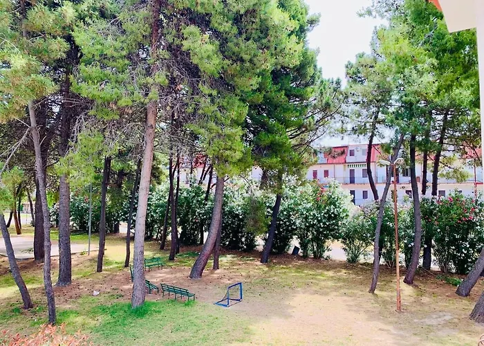 公寓 Pineta Sul Mare - Riviera Dei Tramonti - A 300 M Fronte Aguglieri